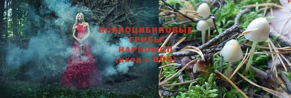 мяу мяу мука Беломорск