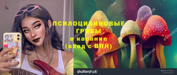 таблы Богородск